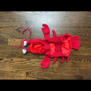 Dog Lobster Costume